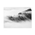 Picture of Mystic foggy forest _GroupedProduct_Rectangle_Landscape_Photography _GroupedProduct_Rectangle_Landscape_Unframed_Print_Only_