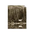 Picture of Cottage Bliss _GroupedProduct_Rectangle_Portrait_Photography _GroupedProduct_Rectangle_Portrait_Unframed_Print_Only_