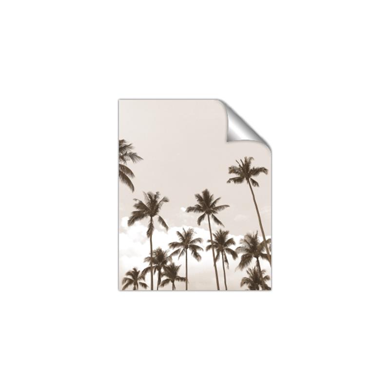 Picture of Palm Goddess _GroupedProduct_Rectangle_Portrait_Photography _GroupedProduct_Rectangle_Portrait_Unframed_Print_Only_