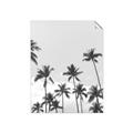 Picture of Palm Goddess _GroupedProduct_Rectangle_Portrait_Photography _GroupedProduct_Rectangle_Portrait_Unframed_Print_Only_