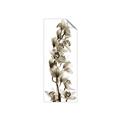 Picture of Orchid Flowers II  _GroupedProduct_Panel_Portrait_Photography _GroupedProduct_Panel_Portrait_Unframed_Print_Only_