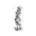 Picture of Orchid Flowers II  _GroupedProduct_Panel_Portrait_Photography _GroupedProduct_Panel_Portrait_Unframed_Print_Only_