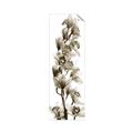 Picture of Orchid Flowers II  _GroupedProduct_Panel_Portrait_Photography _GroupedProduct_Panel_Portrait_Unframed_Print_Only_