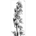 Picture of Orchid Flowers II  _GroupedProduct_Panel_Portrait_Photography _GroupedProduct_Panel_Portrait_Unframed_Print_Only_