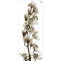 Picture of Orchid Flowers II  _GroupedProduct_Panel_Portrait_Photography _GroupedProduct_Panel_Portrait_Unframed_Print_Only_