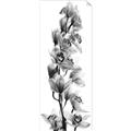 Picture of Orchid Flowers II  _GroupedProduct_Panel_Portrait_Photography _GroupedProduct_Panel_Portrait_Unframed_Print_Only_
