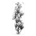 Picture of Orchid Flowers I  _GroupedProduct_Panel_Portrait_Photography _GroupedProduct_Panel_Portrait_Unframed_Print_Only_