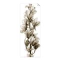 Picture of Orchid Flowers I  _GroupedProduct_Panel_Portrait_Photography _GroupedProduct_Panel_Portrait_Unframed_Print_Only_