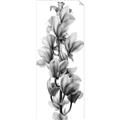 Picture of Orchid Flowers I  _GroupedProduct_Panel_Portrait_Photography _GroupedProduct_Panel_Portrait_Unframed_Print_Only_