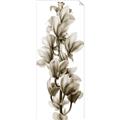 Picture of Orchid Flowers I  _GroupedProduct_Panel_Portrait_Photography _GroupedProduct_Panel_Portrait_Unframed_Print_Only_
