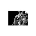 Picture of The Big Cat _GroupedProduct_Rectangle_Landscape_Photography _GroupedProduct_Rectangle_Landscape_Unframed_Print_Only_