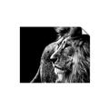 Picture of The Big Cat _GroupedProduct_Rectangle_Landscape_Photography _GroupedProduct_Rectangle_Landscape_Unframed_Print_Only_