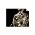 Picture of The Big Cat _GroupedProduct_Rectangle_Landscape_Photography _GroupedProduct_Rectangle_Landscape_Unframed_Print_Only_
