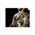 Picture of The Big Cat _GroupedProduct_Rectangle_Landscape_Photography _GroupedProduct_Rectangle_Landscape_Unframed_Print_Only_