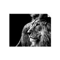 Picture of The Big Cat _GroupedProduct_Rectangle_Landscape_Photography _GroupedProduct_Rectangle_Landscape_Unframed_Print_Only_
