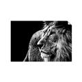 Picture of The Big Cat _GroupedProduct_Rectangle_Landscape_Photography _GroupedProduct_Rectangle_Landscape_Unframed_Print_Only_