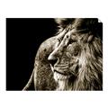 Picture of The Big Cat _GroupedProduct_Rectangle_Landscape_Photography _GroupedProduct_Rectangle_Landscape_Unframed_Print_Only_