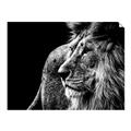 Picture of The Big Cat _GroupedProduct_Rectangle_Landscape_Photography _GroupedProduct_Rectangle_Landscape_Unframed_Print_Only_