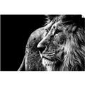 Picture of The Big Cat _GroupedProduct_Rectangle_Landscape_Photography _GroupedProduct_Rectangle_Landscape_Unframed_Print_Only_