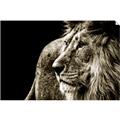 Picture of The Big Cat _GroupedProduct_Rectangle_Landscape_Photography _GroupedProduct_Rectangle_Landscape_Unframed_Print_Only_