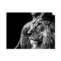 Picture of The Big Cat _GroupedProduct_Rectangle_Landscape_Photography _GroupedProduct_Rectangle_Landscape_Unframed_Print_Only_