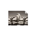 Picture of On the Runway _GroupedProduct_Rectangle_Landscape_Photography _GroupedProduct_Rectangle_Landscape_Unframed_Print_Only_