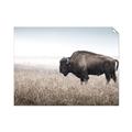 Picture of Bison Field _GroupedProduct_Rectangle_Landscape_Photography _GroupedProduct_Rectangle_Landscape_Unframed_Print_Only_