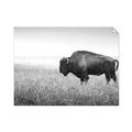 Picture of Bison Field _GroupedProduct_Rectangle_Landscape_Photography _GroupedProduct_Rectangle_Landscape_Unframed_Print_Only_