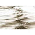Picture of Moving Water _GroupedProduct_Rectangle_Landscape_Photography _GroupedProduct_Rectangle_Landscape_Unframed_Print_Only_
