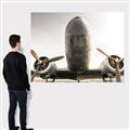 Picture of Plane of Yester Year _GroupedProduct_Rectangle_Landscape_Photography _GroupedProduct_Rectangle_Landscape_Canvas_