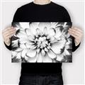 Picture of Black and White Flower _GroupedProduct_Rectangle_Landscape_Photography _GroupedProduct_Rectangle_Landscape_Canvas_