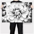 Picture of Black and White Flower _GroupedProduct_Rectangle_Landscape_Photography _GroupedProduct_Rectangle_Landscape_Canvas_