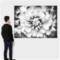 Picture of Black and White Flower _GroupedProduct_Rectangle_Landscape_Photography _GroupedProduct_Rectangle_Landscape_Canvas_