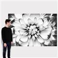 Picture of Black and White Flower _GroupedProduct_Rectangle_Landscape_Photography _GroupedProduct_Rectangle_Landscape_Canvas_