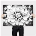 Picture of Black and White Flower _GroupedProduct_Rectangle_Landscape_Photography _GroupedProduct_Rectangle_Landscape_Canvas_