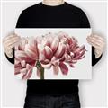 Picture of Flower isolated _GroupedProduct_Rectangle_Landscape_Photography _GroupedProduct_Rectangle_Landscape_Canvas_