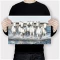 Picture of White Horses _GroupedProduct_Rectangle_Landscape_Photography _GroupedProduct_Rectangle_Landscape_Canvas_
