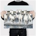 Picture of White Horses _GroupedProduct_Rectangle_Landscape_Photography _GroupedProduct_Rectangle_Landscape_Canvas_