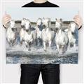 Picture of White Horses _GroupedProduct_Rectangle_Landscape_Photography _GroupedProduct_Rectangle_Landscape_Canvas_