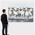Picture of White Horses _GroupedProduct_Rectangle_Landscape_Photography _GroupedProduct_Rectangle_Landscape_Canvas_