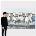 Picture of White Horses _GroupedProduct_Rectangle_Landscape_Photography _GroupedProduct_Rectangle_Landscape_Canvas_