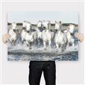 Picture of White Horses _GroupedProduct_Rectangle_Landscape_Photography _GroupedProduct_Rectangle_Landscape_Canvas_