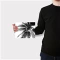 Picture of Black Palm  _GroupedProduct_Rectangle_Landscape_Photography _GroupedProduct_Rectangle_Landscape_Canvas_