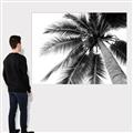 Picture of Black Palm  _GroupedProduct_Rectangle_Landscape_Photography _GroupedProduct_Rectangle_Landscape_Canvas_