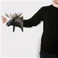 Picture of Moose _GroupedProduct_Rectangle_Portrait_Photography _GroupedProduct_Rectangle_Portrait_Canvas_