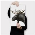 Picture of Moose _GroupedProduct_Rectangle_Portrait_Photography _GroupedProduct_Rectangle_Portrait_Canvas_