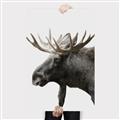 Picture of Moose _GroupedProduct_Rectangle_Portrait_Photography _GroupedProduct_Rectangle_Portrait_Canvas_