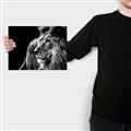 Picture of The Big Cat _GroupedProduct_Rectangle_Landscape_Photography _GroupedProduct_Rectangle_Landscape_Canvas_