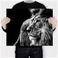 Picture of The Big Cat _GroupedProduct_Rectangle_Landscape_Photography _GroupedProduct_Rectangle_Landscape_Canvas_