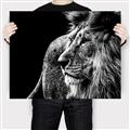 Picture of The Big Cat _GroupedProduct_Rectangle_Landscape_Photography _GroupedProduct_Rectangle_Landscape_Canvas_